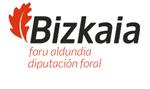 Diputación Foral Bizkaia